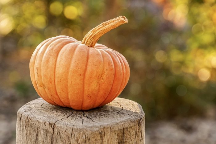 pumpkin-halloween-grosso-legnoarchitetture